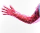 50PCS Disposable Long Plastic Gloves Full Arm Veterinary Field Dressing Use