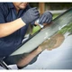 BLACK RHINO Black Rhino HD Nitrile Gloves - Medium NG502FM [AU]