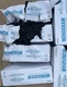 MONOGRAM NITRILE POWDER-FREE GLOVES MEDIUM BLACK 250 EACH DAMAGE LOT OF 6