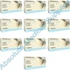 *2,500-Gloves* Microflex XCEED Powder-Free Nitrile Medical X-Small XC-310-XS