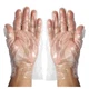 Disposable Food Preparation Gloves - Box of 500: Medium (2 pack)