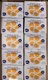 Metro Medical Nitrisense Ultra 25 Powder Free Gloves 250 Count AN-2570 Lot of 10
