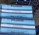 Pilgrim Nitrile Exam Gloves Powder-Free Size Large (Lot of 2 boxes of 200)