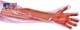 50Pcs Disposable Long Plastic Gloves for Veterinary Insemination, Full Arm Vet a